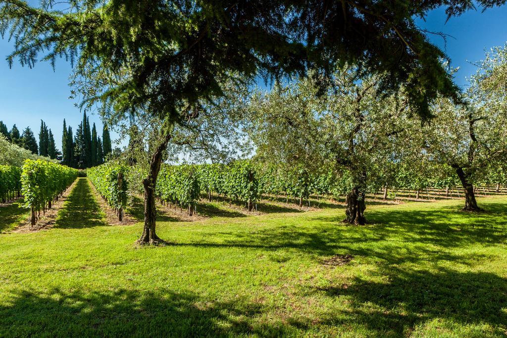 Quercia Belvedere Relais Bardolino Extérieur photo